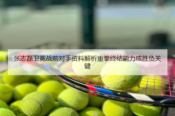 张志磊卫冕战前对手资料解析重拳终结能力成胜负关键